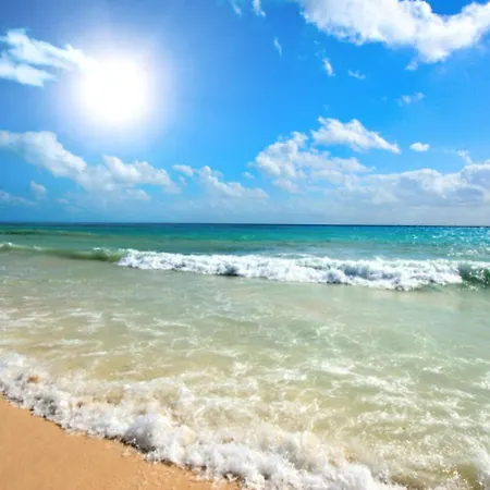 Daire Sunny View 3401 Sunny Sunny Beach